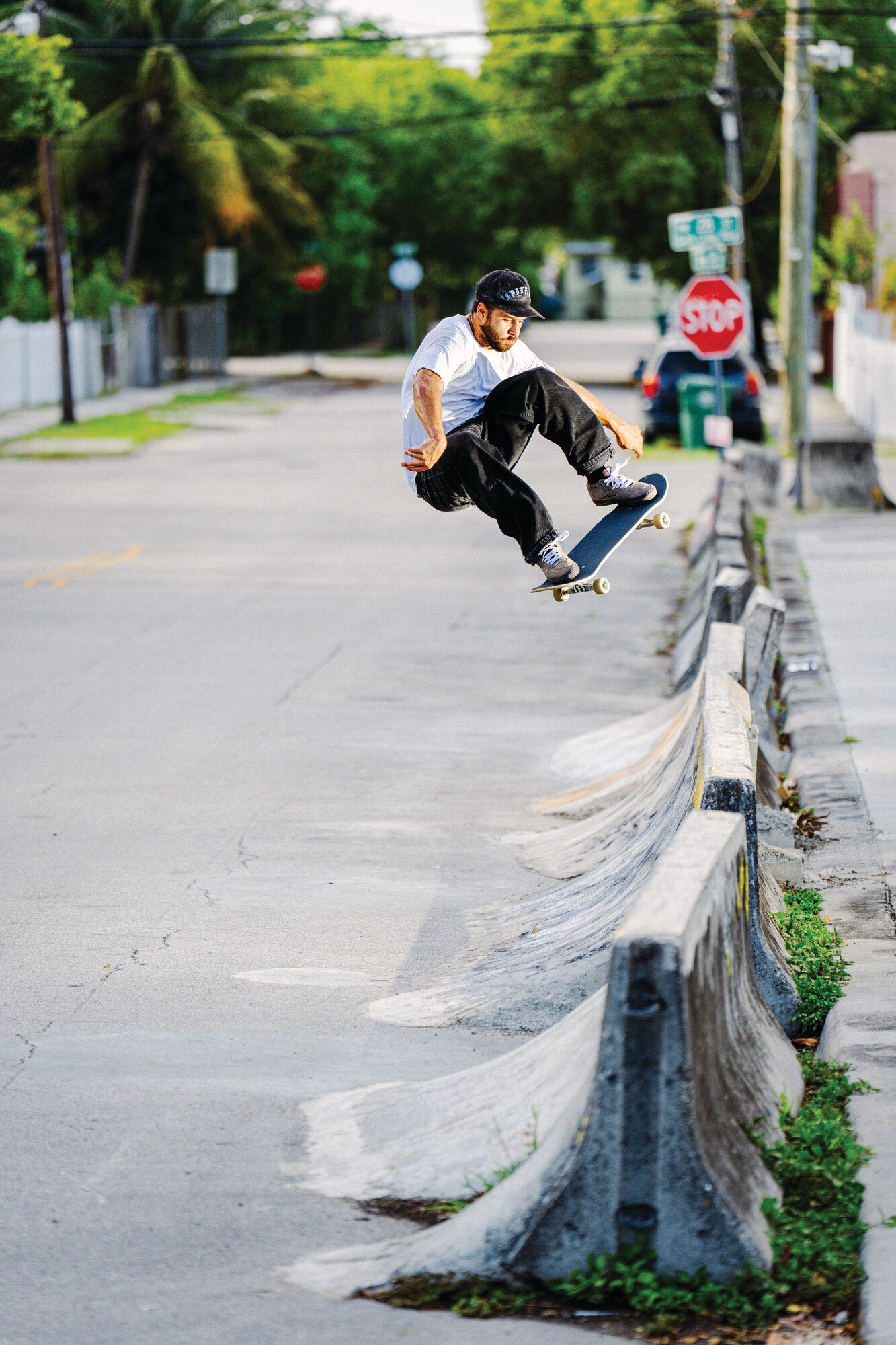 Skate Half Cab - Pedro Delfino Camo