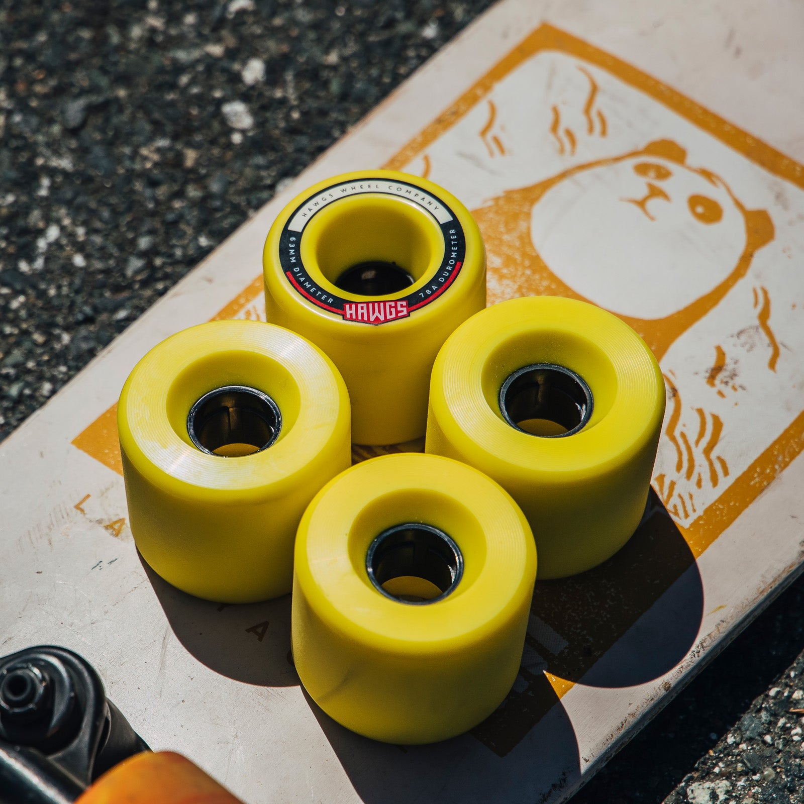 fatty-yellow-on-board.jpg