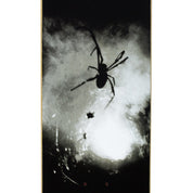 Spider Photo Deck - 8.38"