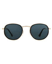 Hudson Polarized Sunglasses - Black/Gold