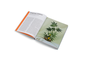 High on Design: The New Cannabis Culture