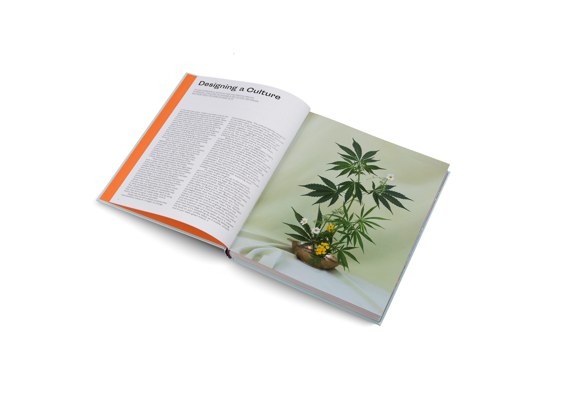 High on Design: The New Cannabis Culture