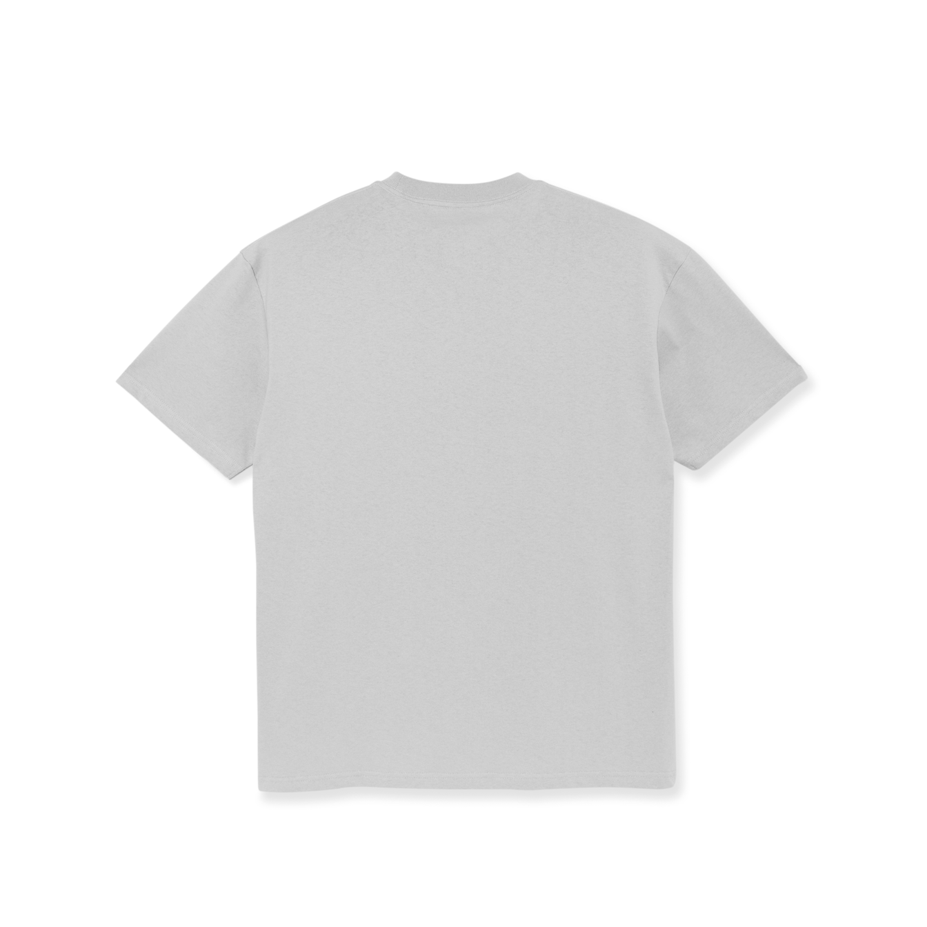 polar-skate-co-sp23-tee-wonderful-day-silver-2-e95.png