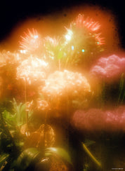 N°66 Holiday 2025 "The Sci-fi Fantasy Issue"