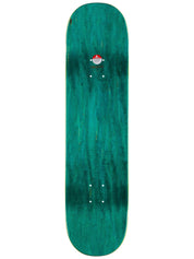 Killer Whale "Greene" - 8.25"