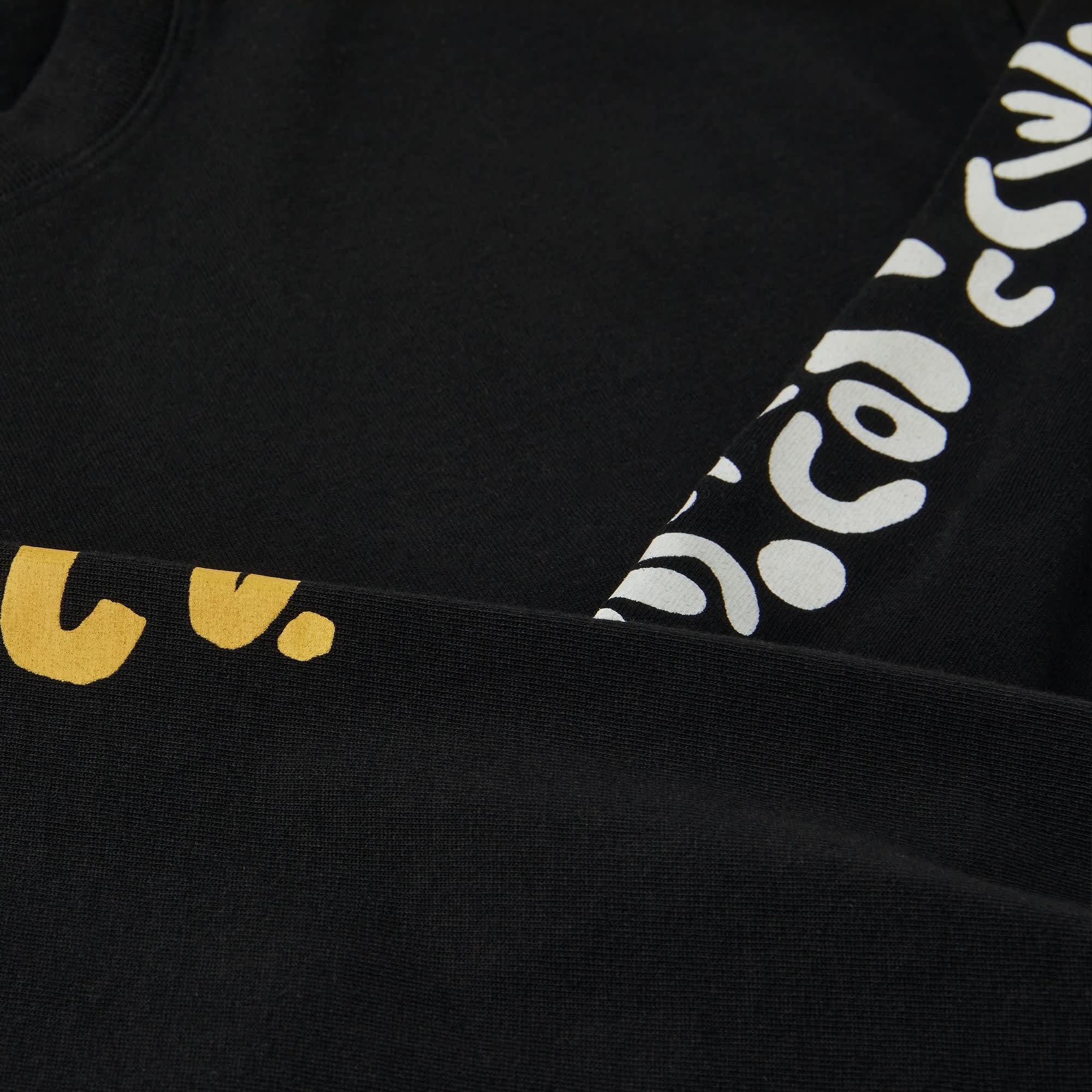 Facescape Longsleeve - Black