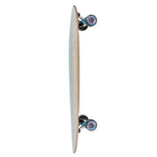 Cabana Dot Pintail