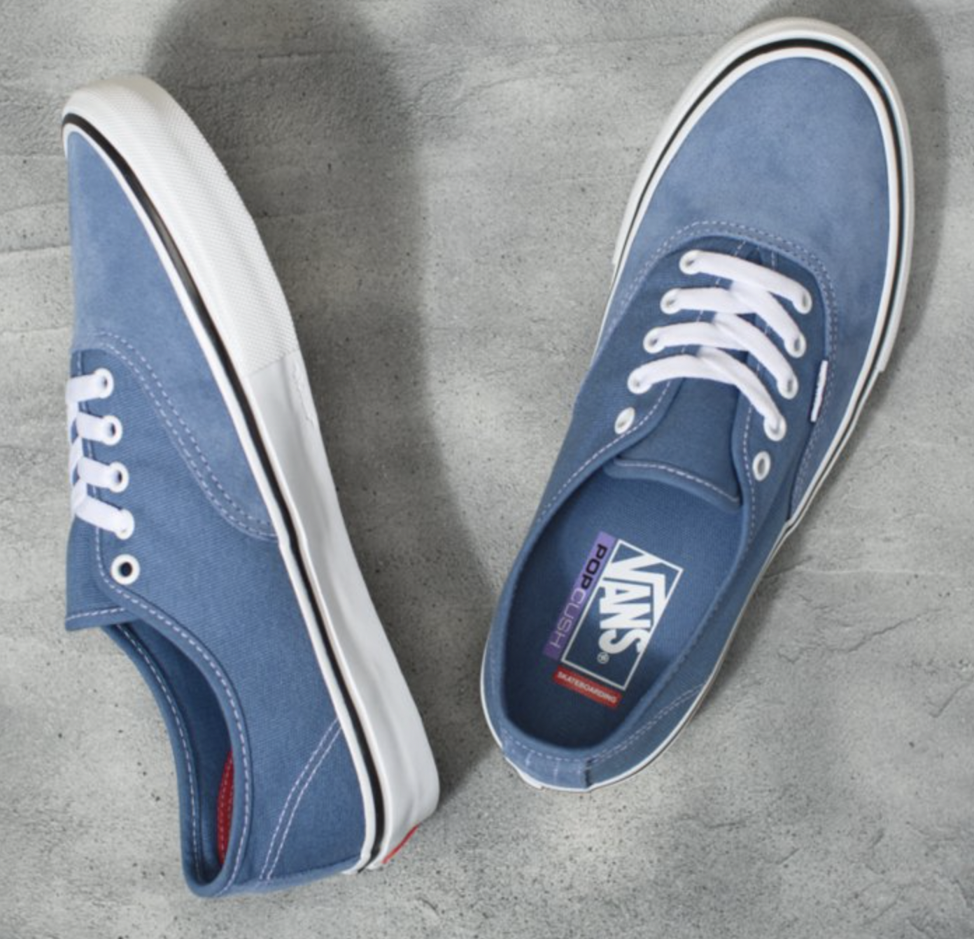 Skate Authentic Skateboard Shoe - Moonlight Blue/True White