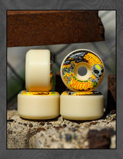 Formula Four Fabiana Delfino Invasion Conical Full 99D