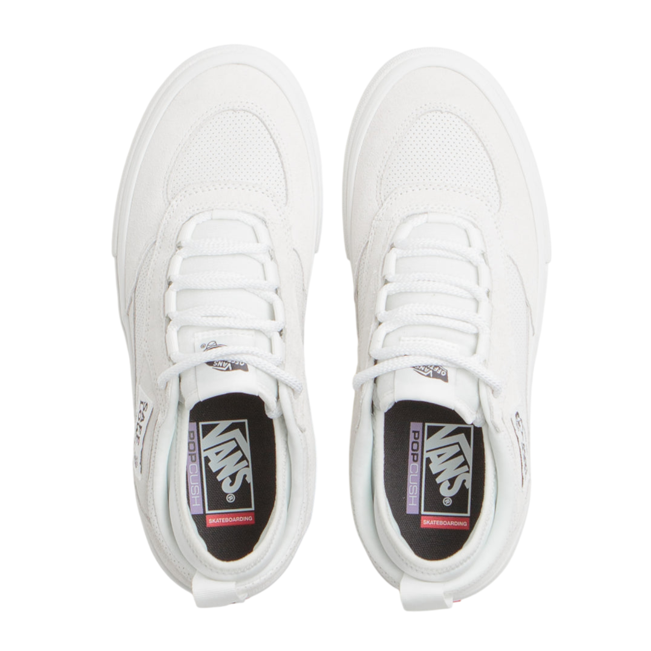 Skate Safe Low - Blanc de Blanc