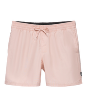 Primary Solid Elastic 19" Volley Boardshorts - Rose Smoke