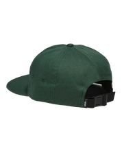 Salton II Strapback Cap - Mountain View